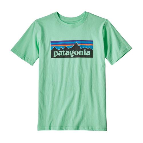 Patagonia Kids P-6 Logo Organic T-Shirt Vgrn_vjog