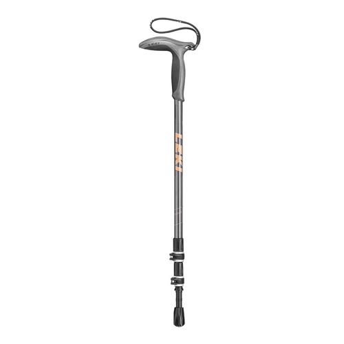 LEKI Wanderfreund Speed Lock 2 Trekking Pole