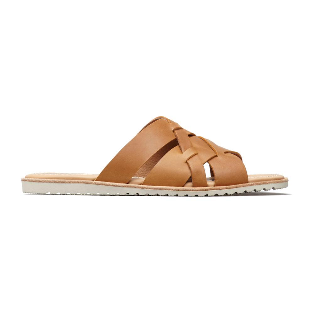 CAMEL_224