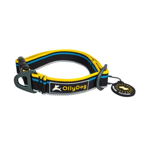 OllyDog Urban Trail Reflective Collar - Anthracite - Medium Anthracite