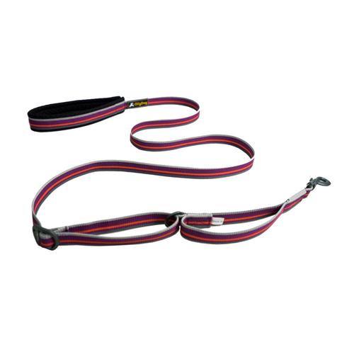 OllyDog Urban Trail Adjustable Leash - Wild Aster Wild_aster
