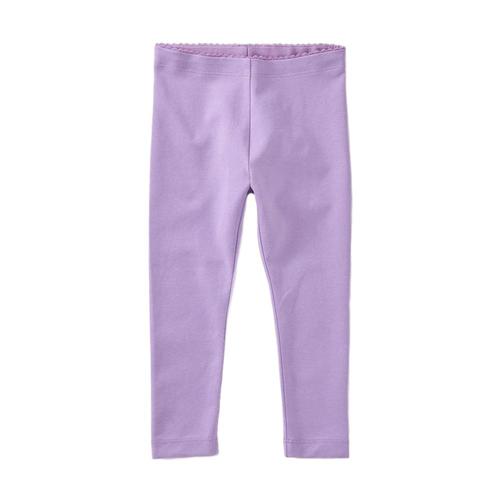 Tea Collection Solid Baby Leggings Aster