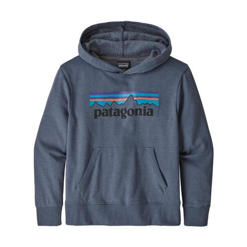 Patagonia Kids Lightweight Graphic Hoody Sweatshirt Dblue_pldo