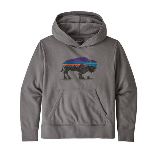 Patagonia Kids Lightweight Graphic Hoody Sweatshirt Fgrey_fzfe