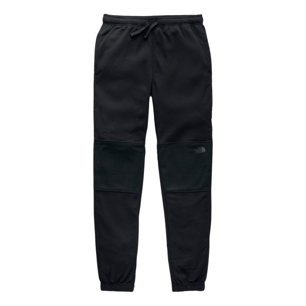 the north face glacier pants