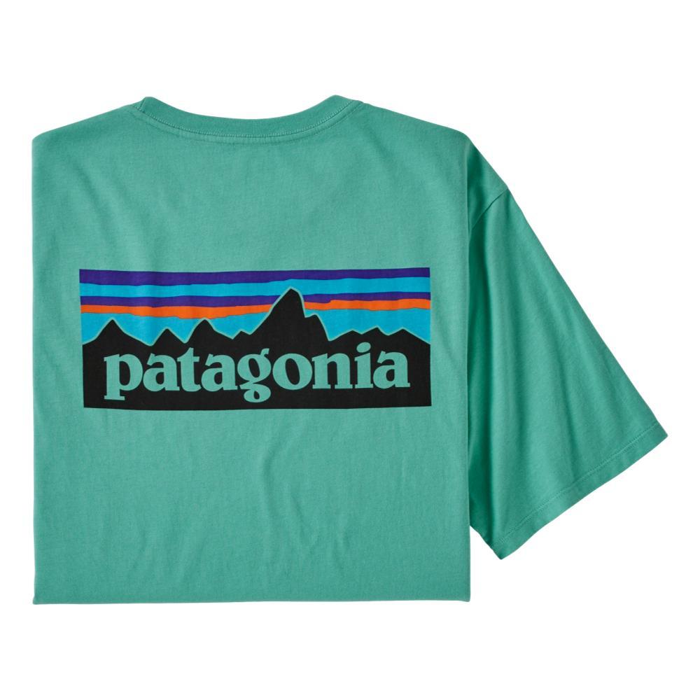 patagonia organic tshirt