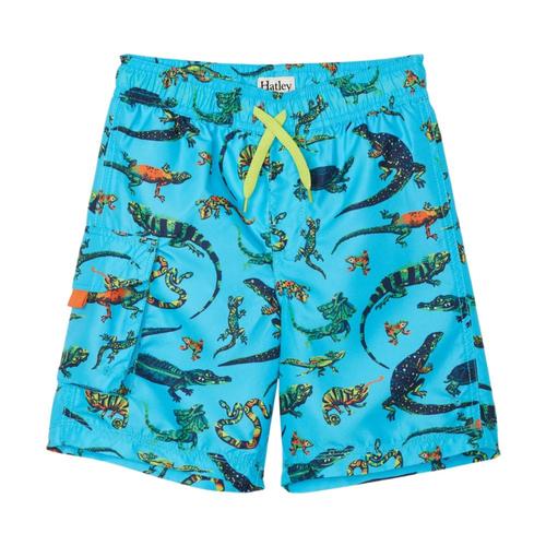 Hatley Boys Rambunctious Reptiles Swim Trunks Blueatol