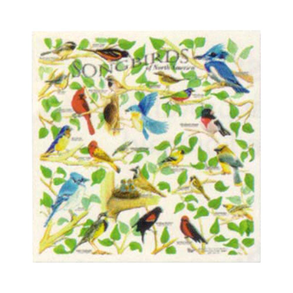 Songbirds Bandana BIRDS