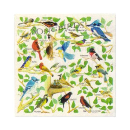 Songbirds Bandana Birds