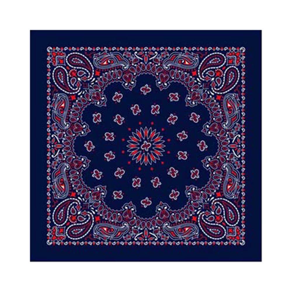 Paisley Bandana BLUE/RED