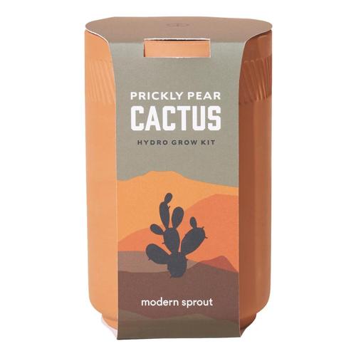 Modern Sprout Terracotta Kit - Cactus