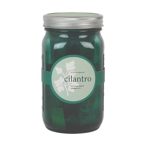 Modern Sprout Garden Jar - Cilantro