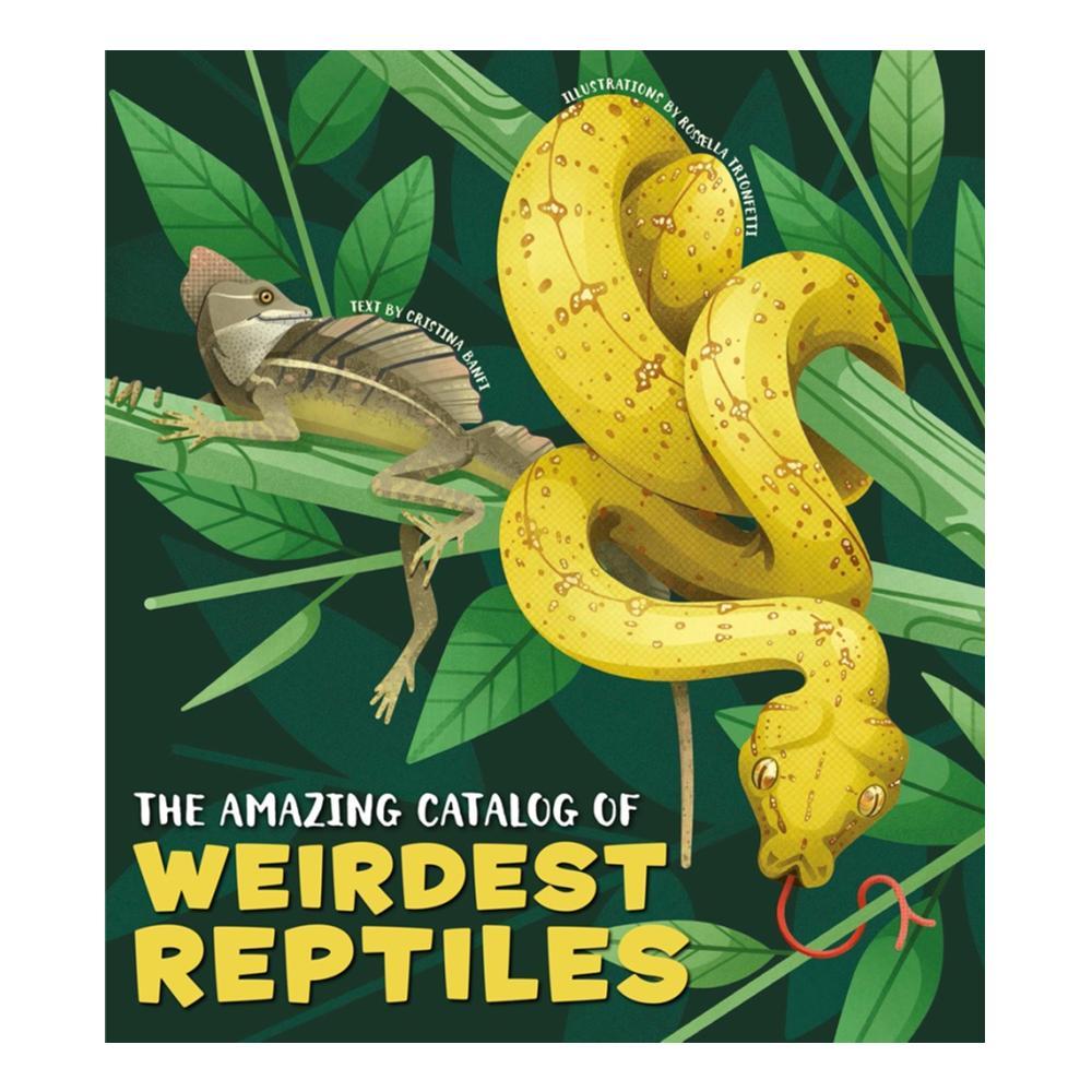 The Amazing Catalog Of Weirdest Reptiles By Cristina Banfi