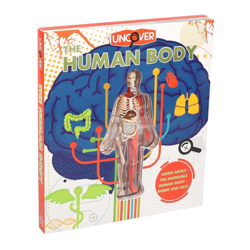  Uncover The Human Body By Luann Colombo