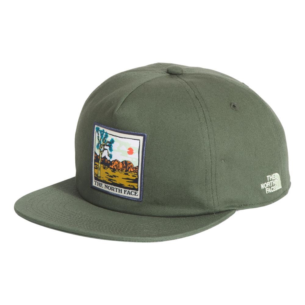 The North Face Embroidered Earthscape Ball Cap THYME_8Z7