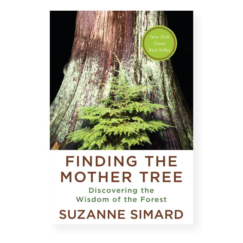  Finding The Mother Tree By Suzanne Simard