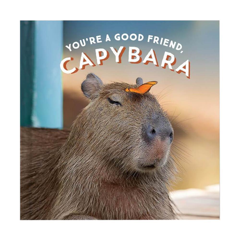  You ' Re A Good Friend, Capybara By Chronicle Books