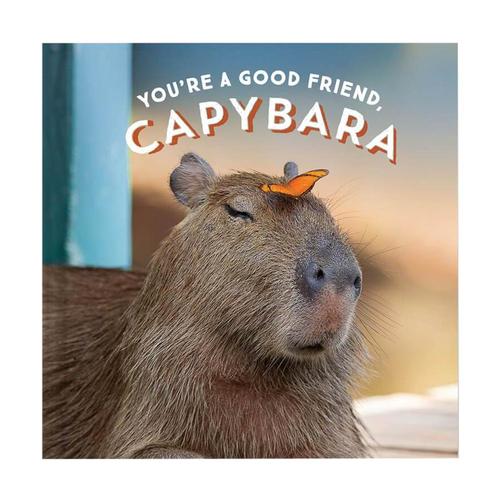 You're a Good Friend, Capybara by Chronicle Books
