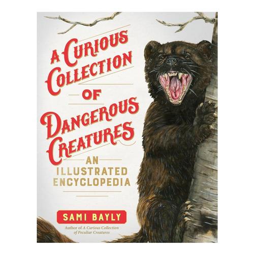 A Curious Collection of Dangerous Creatures by Sami Bayly