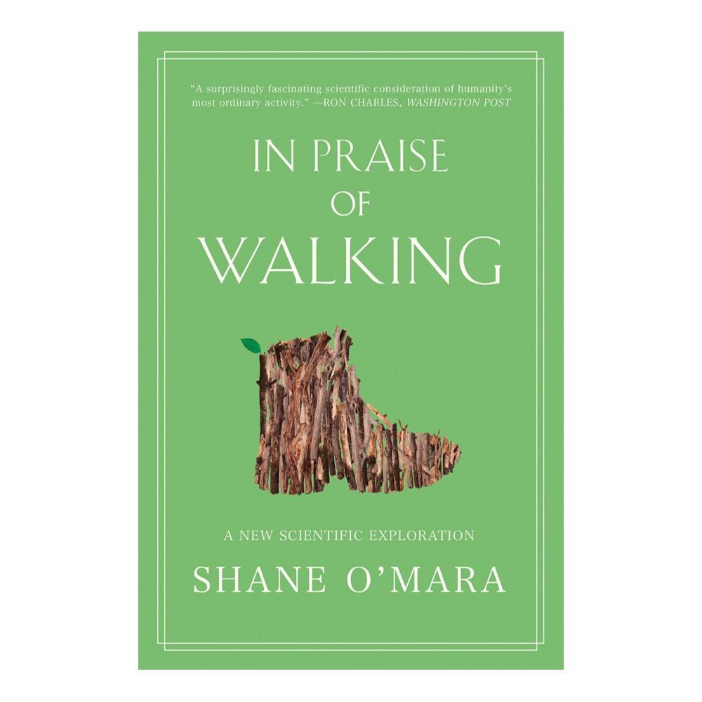  In Praise Of Walking By Shane O ' Mara