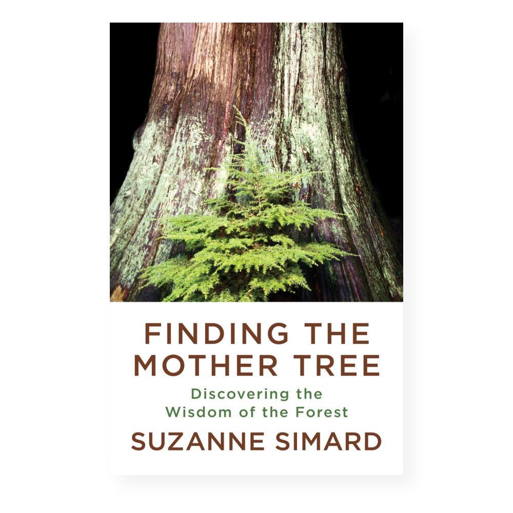  Finding The Mother Tree By Suzanne Simard