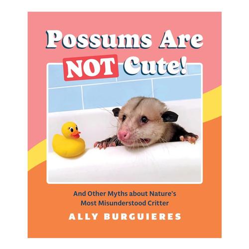 Possums Are Not Cute! by Ally Burguieres