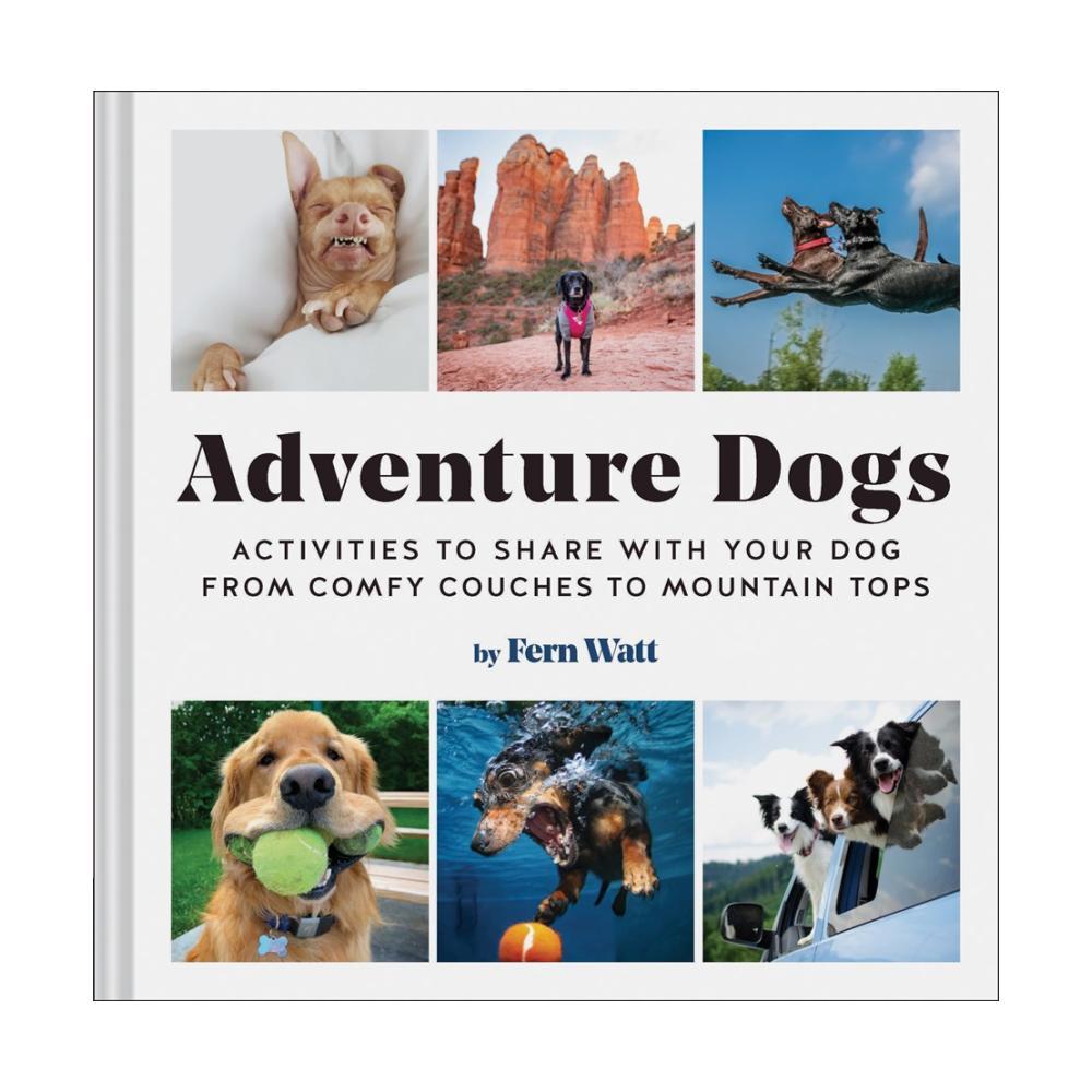  Adventure Dogs By Fern Watt