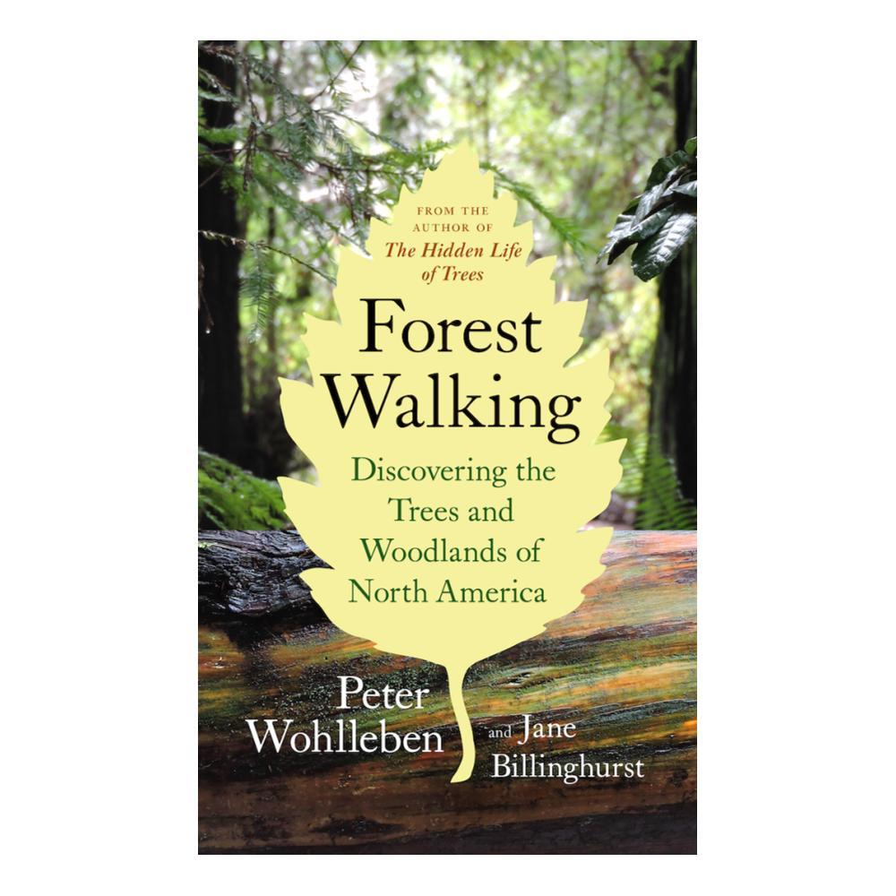  Forest Walking By Peter Wohlleben And Jane Billinghurst