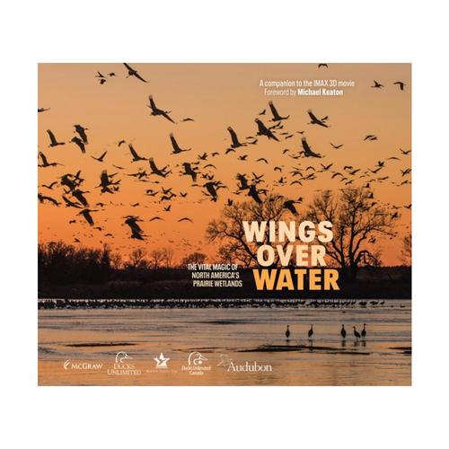 Wings Over Water by Wetlands LLC