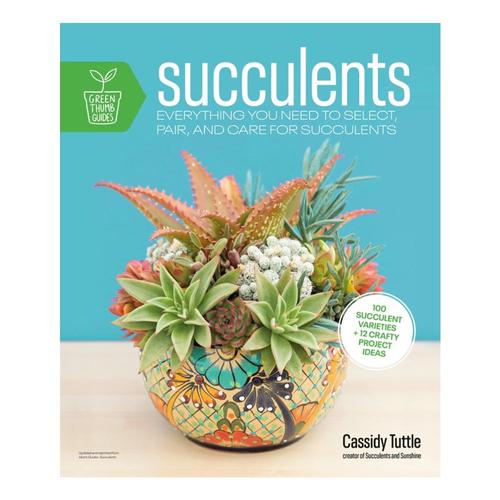 Succulents by Cassidy Tuttle