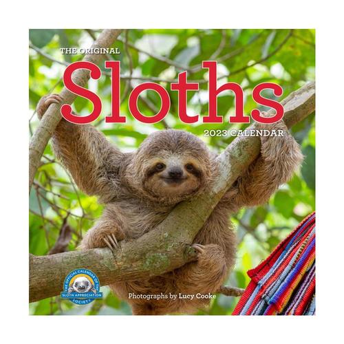 Original Sloths Wall Calendar 2023 by Lucy Cooke and Workman Calendars