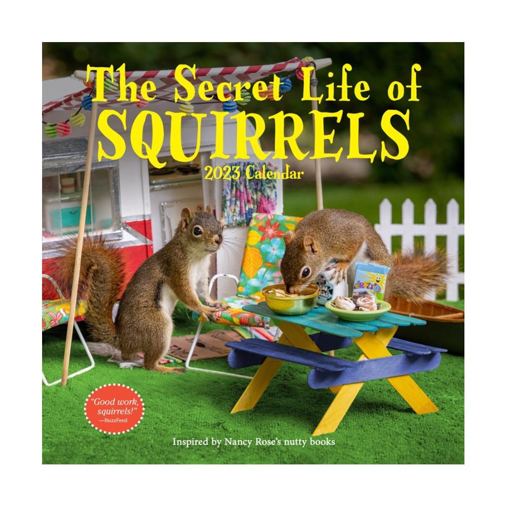  The Secret Life Of Squirrels Wall Calendar 2023 By Nancy Rose And Workman Calendars