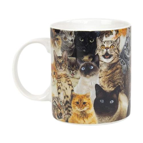 Gift Republic Crazy Cat Lady Mug