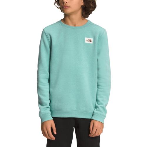 The North Face Kids Teen Heritage Patch Crew Shirt Wasabi_79w