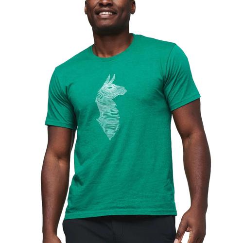 Cotopaxi Men's Topo Llama T-Shirt Verde