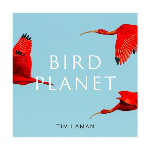Bird Planet by Tim Laman