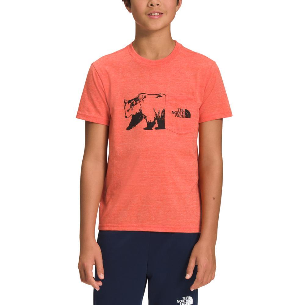 The North Face Boys Short-Sleeve Tri-Blend Graphic Tee-Shirt RETORNG_N84