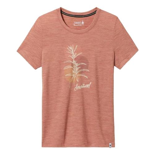 Smartwool Women's Sage Plant Graphic Short Sleeve Tee Copper_l38