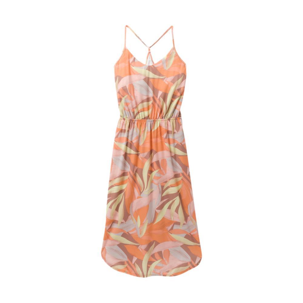 prAna Women's Ayla Dress SOLSTICETR