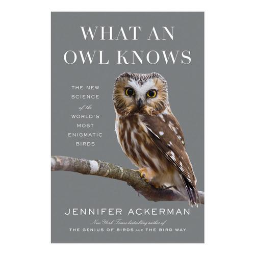 What an Owl Knows by Jennifer Ackerman .