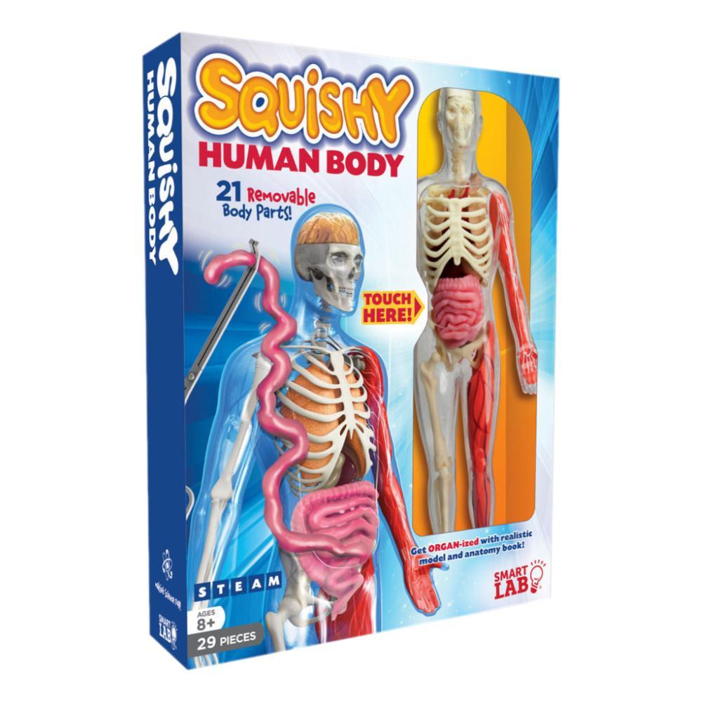  Smartlab Squishy Human Body