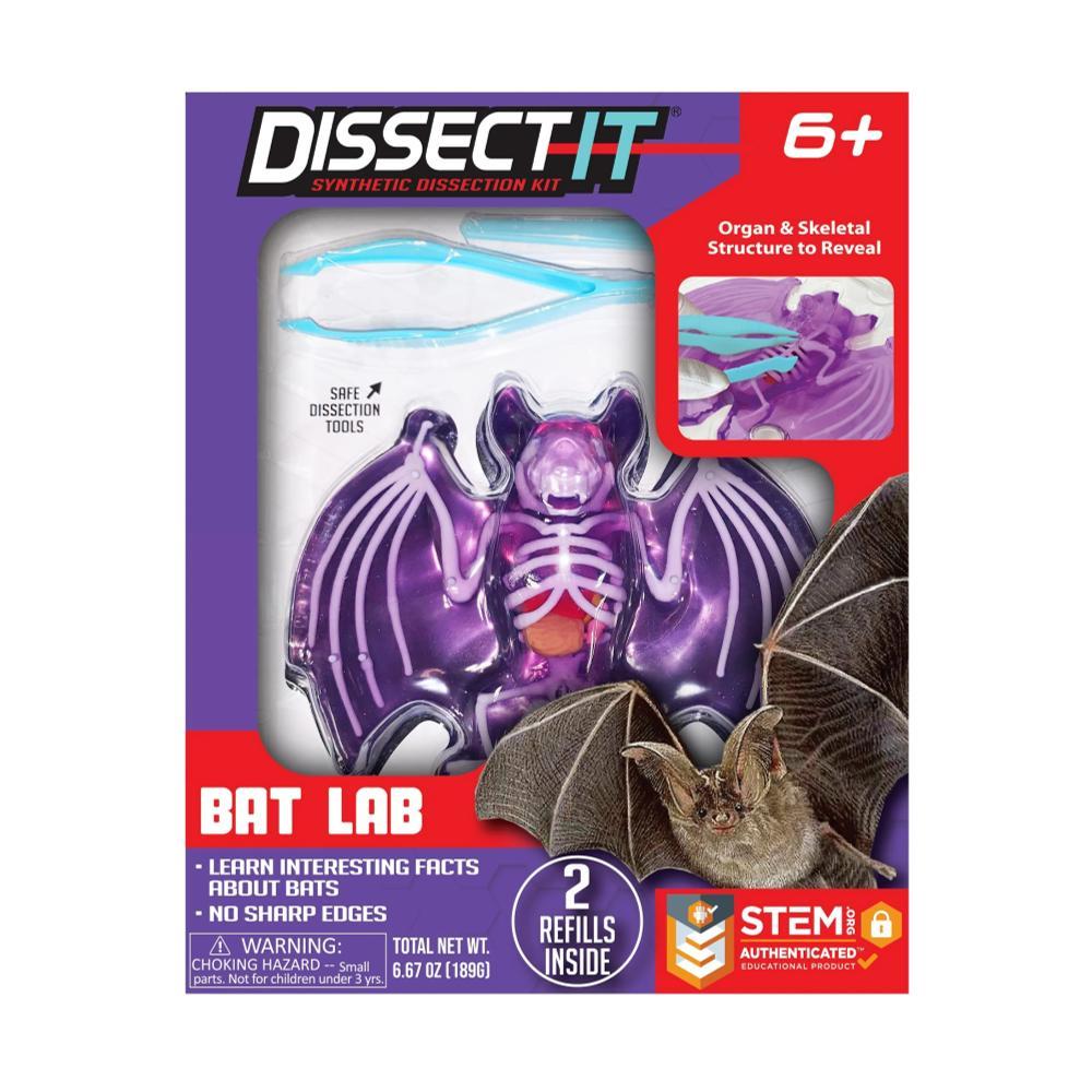  Tangle Dissect- It Bat Lab Kit