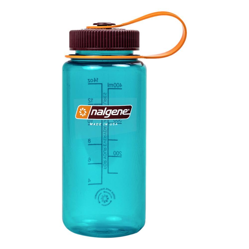 Nalgene Wide Mouth Sustain Water Bottle - 16oz TEAL