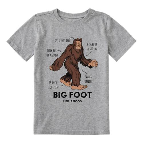 Life is Good Kids Big Foot Facts Crusher Tee Hthrgray