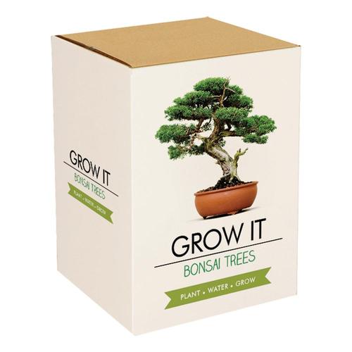 Gift Republic Grow It - Bonsai Trees