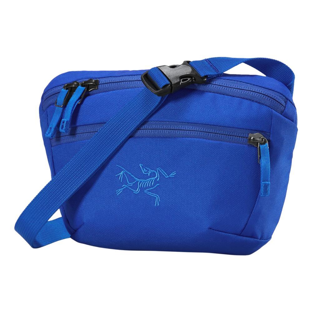 Whole Earth Provision Co. Arcteryx Arc teryx Mantis 1 Waist Pack