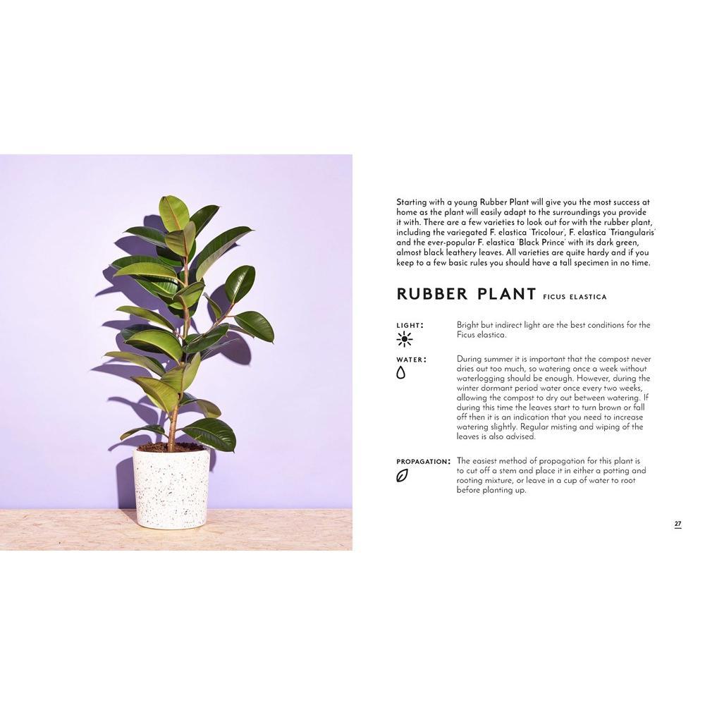 Whole Earth Provision Co. | Little Book of Plants Other Greenery by Emma Sibley