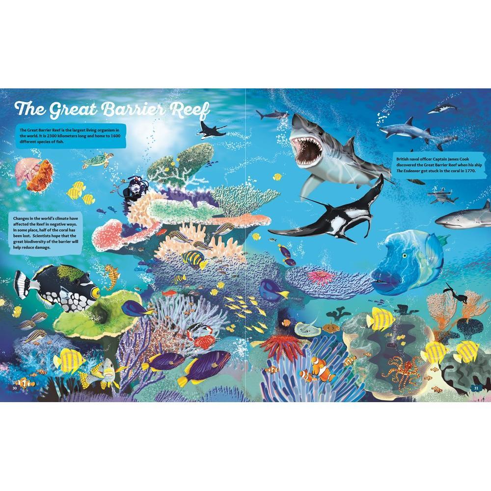Whole Earth Provision Co Maps Of The World S Oceans By Enrico