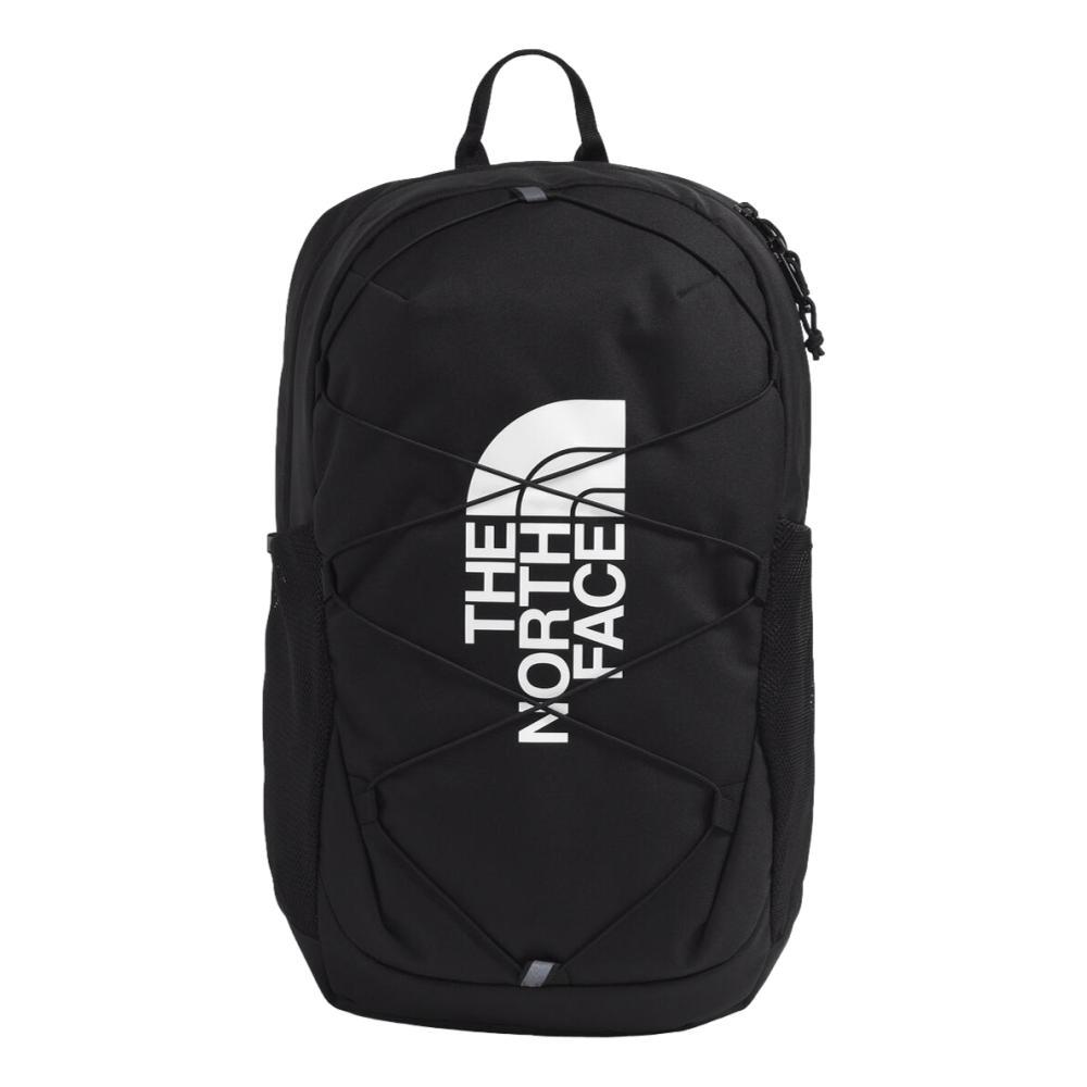Whole Earth Provision Co. | The North Face The North Face Youth Court Jester  Backpack